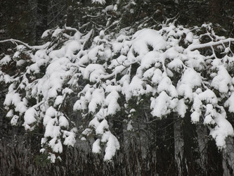 Similar image 21255336