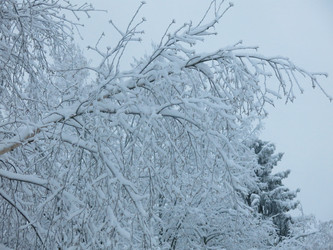 Similar image 21255337