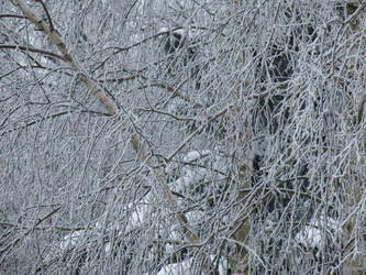 Similar image 21255338