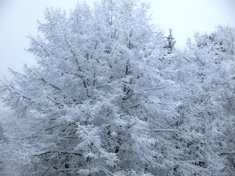 Similar image 21255339