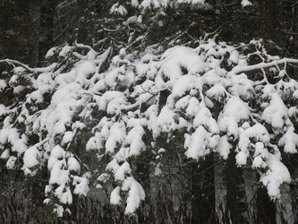 Similar image 21255340