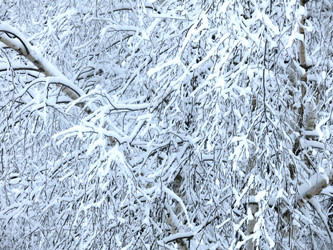 Similar image 21255341