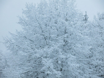 Similar image 21255343