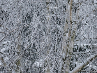 Similar image 21255344