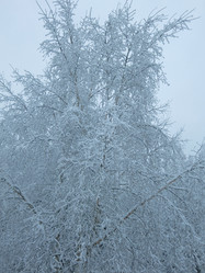 Similar image 21255345