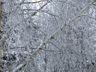 Similar image 21255346