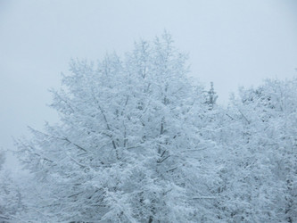 Similar image 21255347