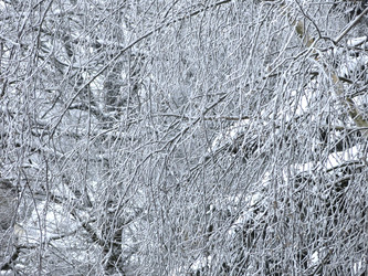 Similar image 21255348