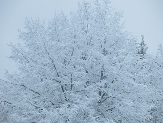 Similar image 21255349