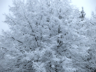 Similar image 21255350