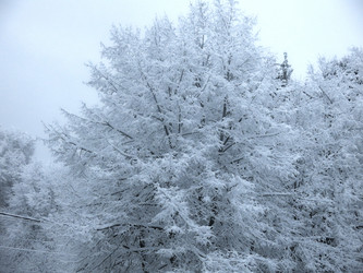 Similar image 21255351