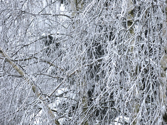 Similar image 21255352