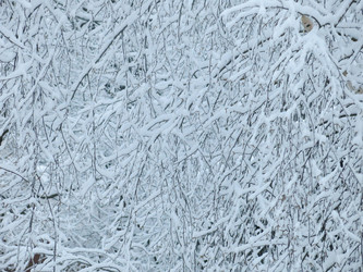 Similar image 21255353