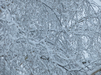 Similar image 21255354