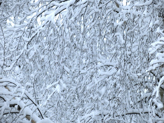 Similar image 21255355