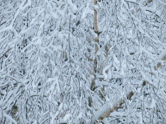 Similar image 21255356