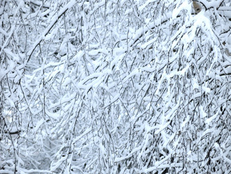 Similar image 21255359