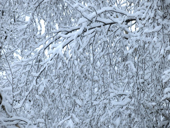 Similar image 21255360