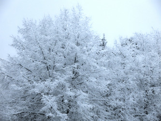 Similar image 21255243