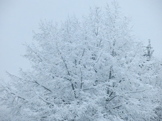 Similar image 21255244