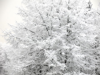 Similar image 21255245