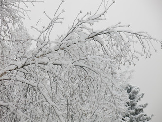 Similar image 21255246