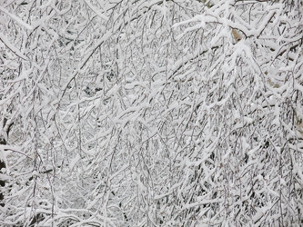 Similar image 21255247