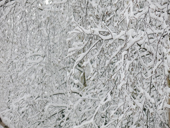 Similar image 21255248