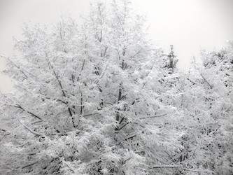 Similar image 21255249