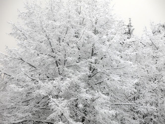 Similar image 21255250