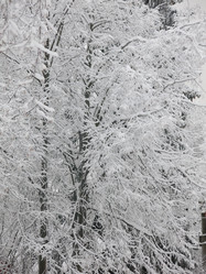 Similar image 21255251