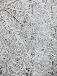 Similar image 21255253