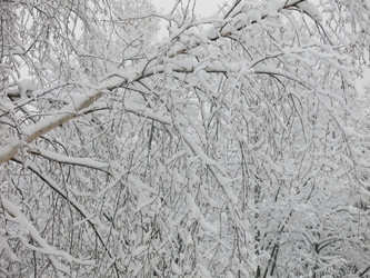 Similar image 21255361