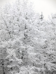 Similar image 21255362