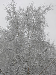 Similar image 21255363