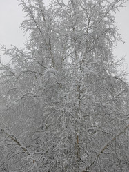 Similar image 21255364