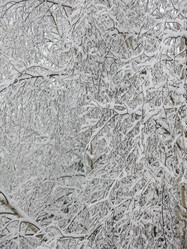 Similar image 21255365