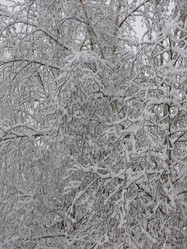 Similar image 21255366