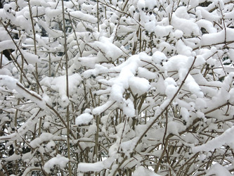 Similar image 21255367