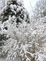 Similar image 21255368