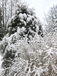 Similar image 21255369