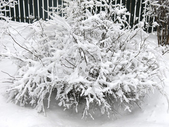 Similar image 21255370