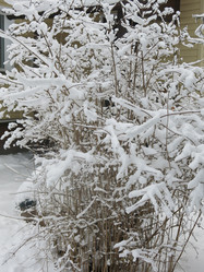 Similar image 21255371