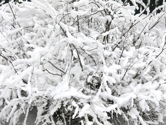 Similar image 21255372