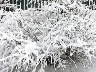 Similar image 21255373