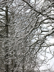 Similar image 21255374