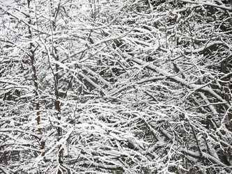 Similar image 21255375