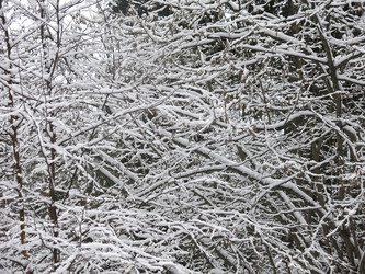 Similar image 21255376