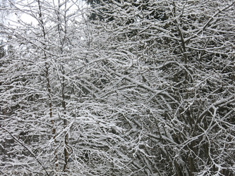 Similar image 21255377