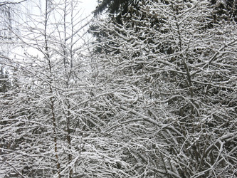 Similar image 21255378